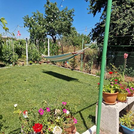 Casa Simona Hotel Două Mai Buitenkant foto