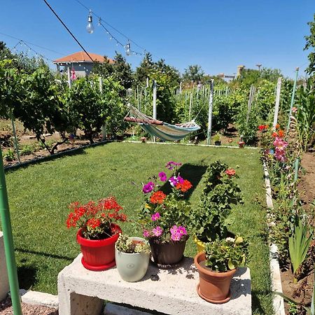 Casa Simona Hotel Două Mai Buitenkant foto