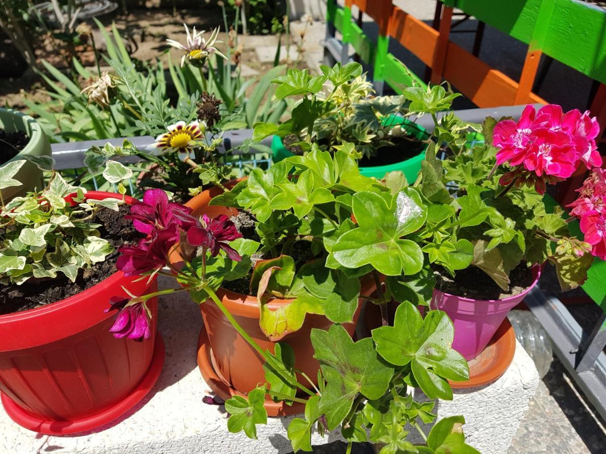 Casa Simona Hotel Două Mai Buitenkant foto