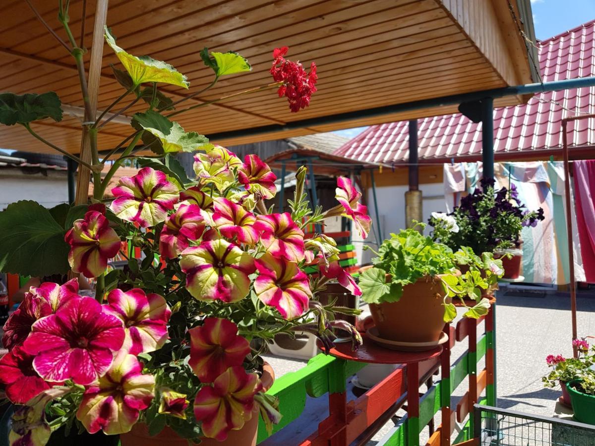 Casa Simona Hotel Două Mai Buitenkant foto