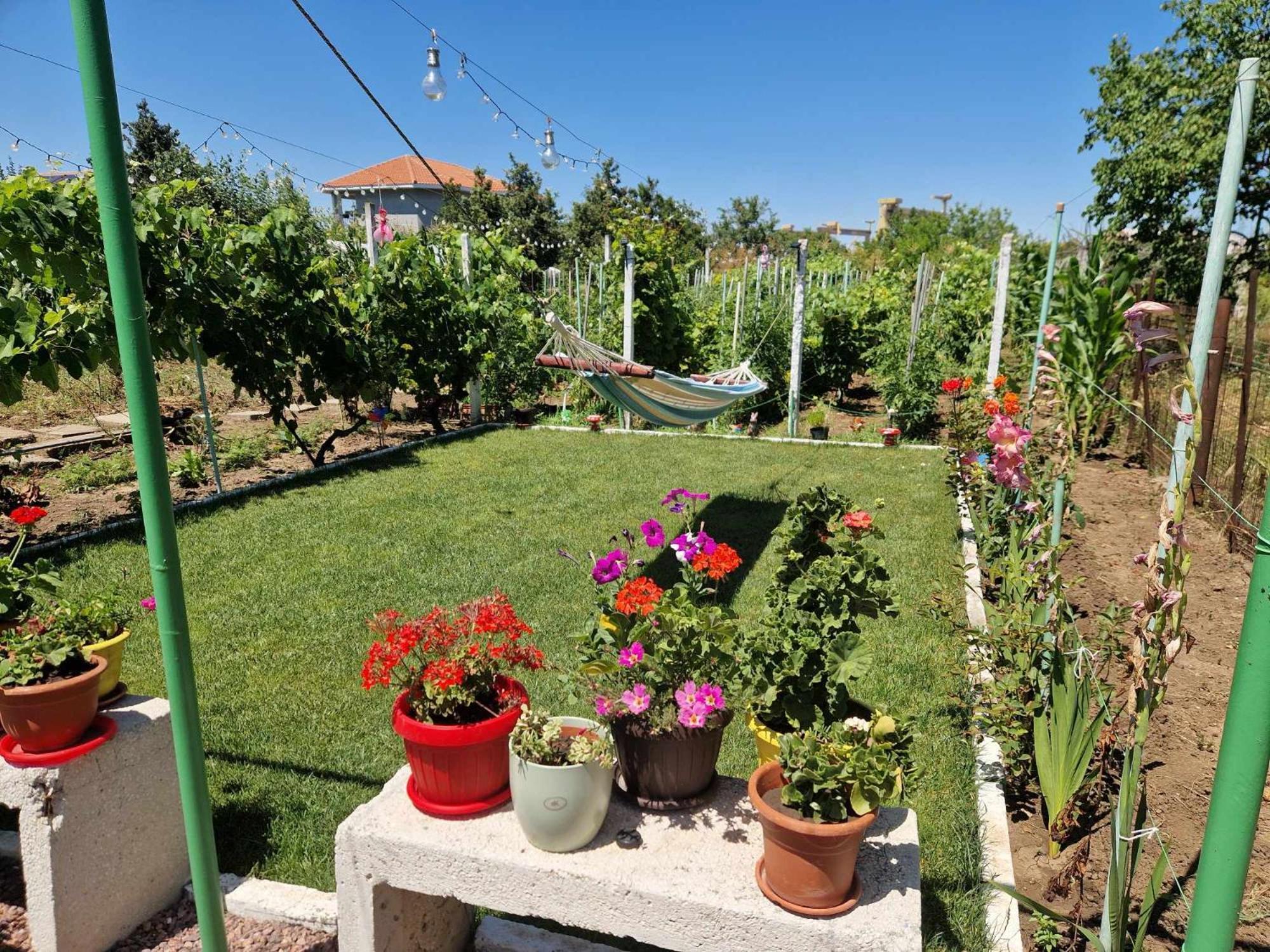 Casa Simona Hotel Două Mai Buitenkant foto